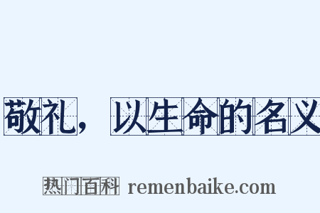 敬礼，以生命的名义是什么意思的图片